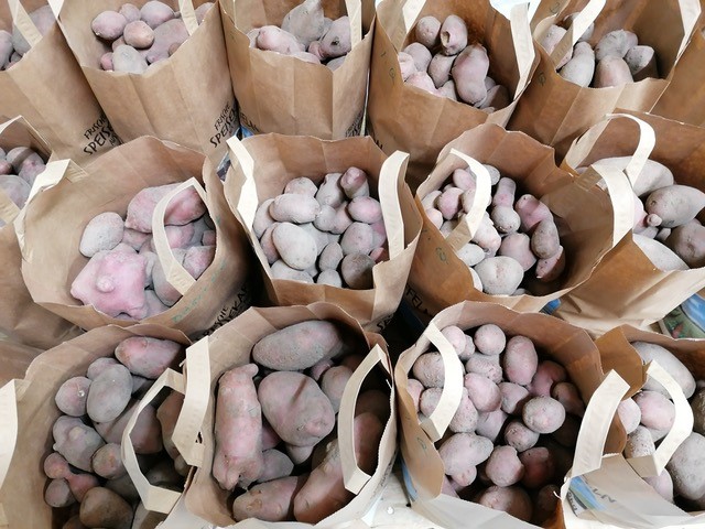 Kartoffeln abpacken